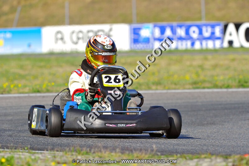 DSC_ (990).jpg
